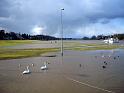 2009-03-09, Hochwasser (5)